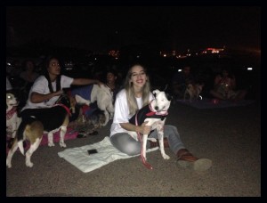 foto de cães e seus tutores durante sessão no cine Drive in em Brasília onde acnteceu a apresentação do filme Pets - a vida secreta dos bichos