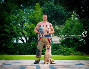 imagem de militares veteranos e policiais americanos com animais resgatados.Projeto de uma fotógrafa que produz calendários com o propósito de ajudar a adoção de animais