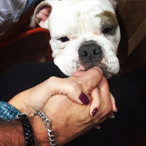 Foto do Bono dando beijo nas nossas mãos