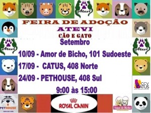 cartaz da feira de animais para adoção da Atevi-bicho