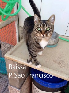 RAISSA_SaoFrancisco