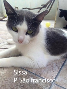 SISSA_SaoFrancisco