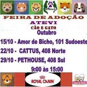 cartaz de feira de adoção de bichos Atevi