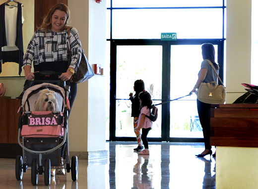 Pet friendly,foto mostra dona de uma cachorrinha passeando com ela em um shopping