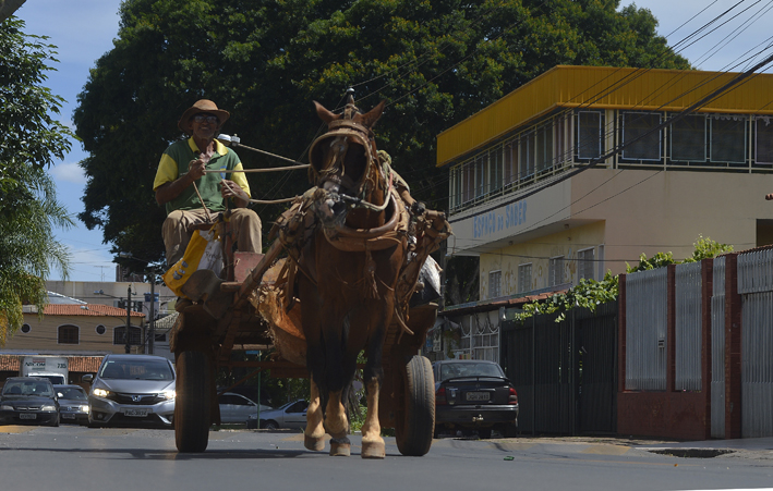 imagem mostra carroceiro para ilustrar matéria sobre proibição de carroças no DF