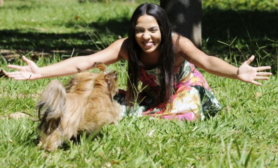 adotar um animal