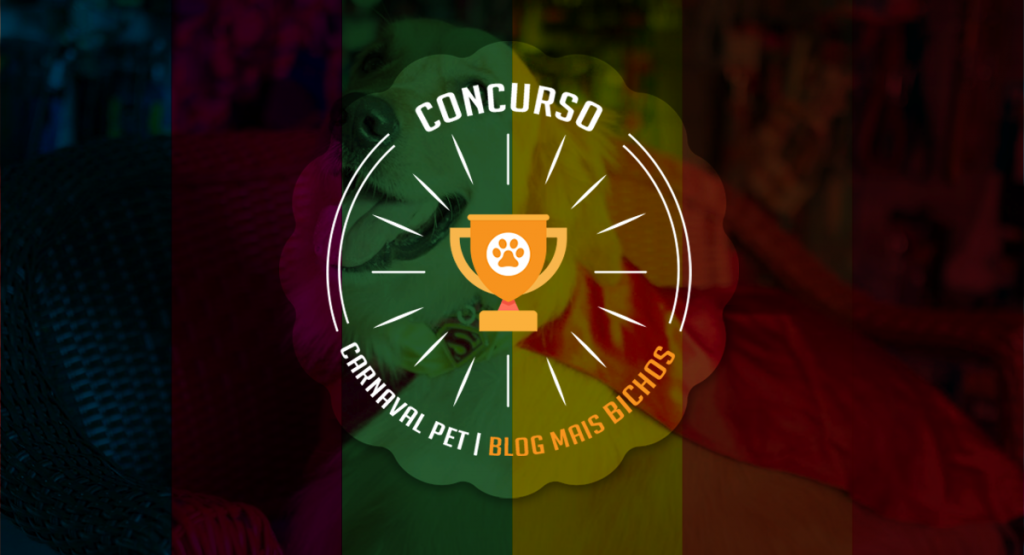 concurso carnaval pet blog Mais Bichos