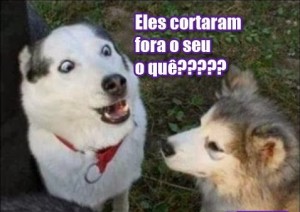Crédito: Reprodução da Internet