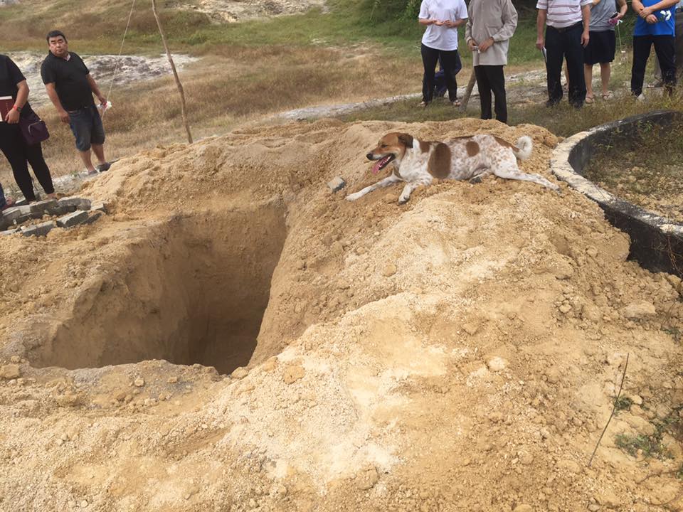 Crédito:Leong Khai Wai. Bobby acompanhou o funeral da tutora 