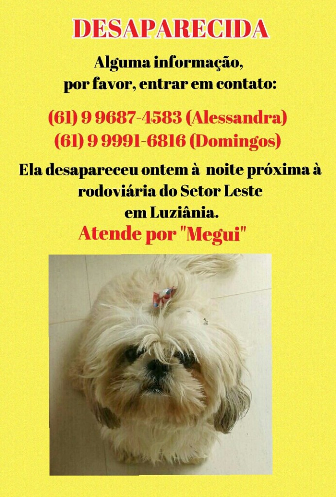 desaparecida