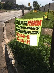 Fabiana ficou conhecida como "a doida das faixas"