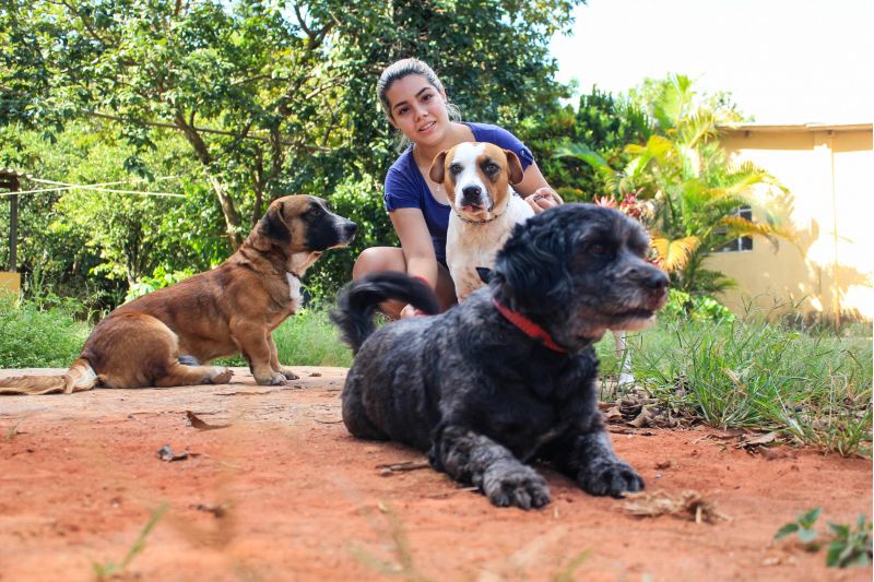 11/04/2017 Crédito: Arthur Menescal/Esp. CB/D.A Press. Brasil. Brasília - DF. Mais Bichos. Vantagens de ter um vira lata. Karoline Miranda.