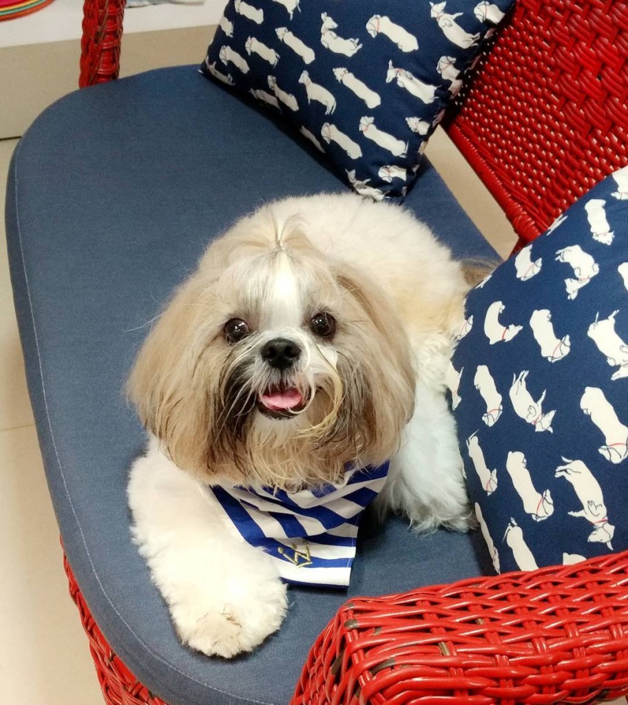 Thor: "Não sou obrigado"