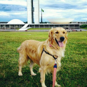 O golden Chico Bento fará uma "viagem" para brincar no ParCão 
