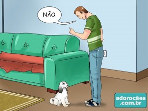 ad1