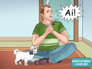 ad4