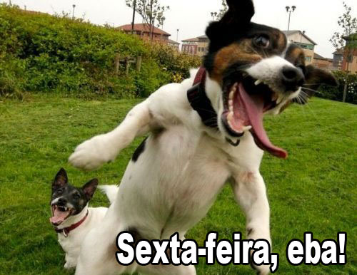 Crédito: reprodução da internet 