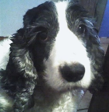 Josefina Maria, que viveu 13 anos. 