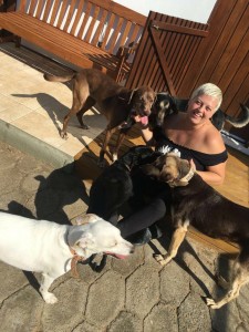 Vivi Machado com seus cachorros Crédito: Arquivo pessoal