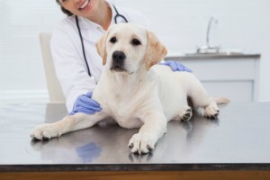 Seguradoras têm coberturas específicas para clínicas Crédito: Reprodução 