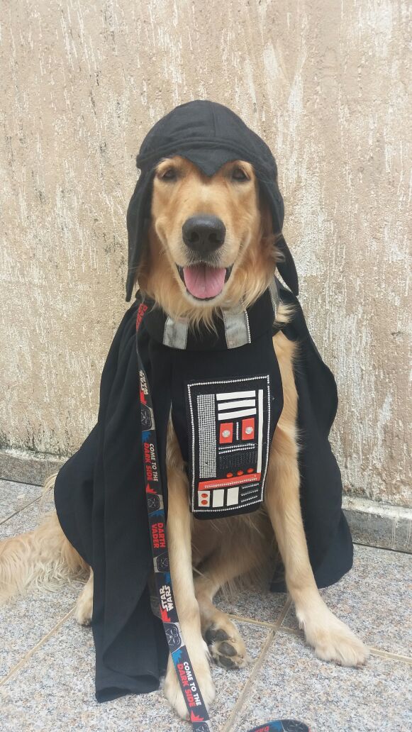 Chico, na versão Star Wars Crédito: Arquivo Pessoal