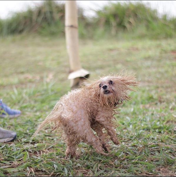 Imagine o cheiro do Luke Skywalker depois dessa brincadeira de verão! Crédito: Arquivo Pessoal 