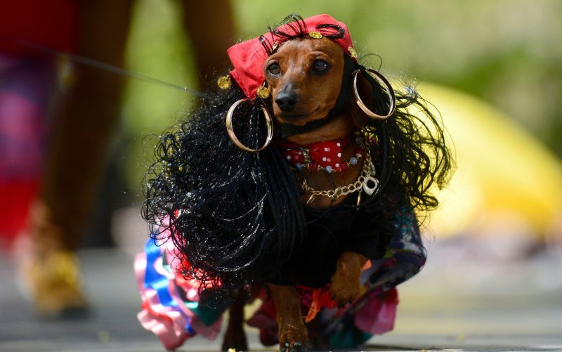 Participante da Parada de Salsichas de Taiwan Crédito: AFP