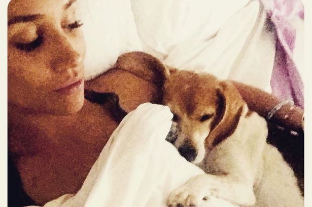 De mendigo a príncipe: Meghan Markle com o cãozinho Guy Crédito: Reprodução do Instagram 