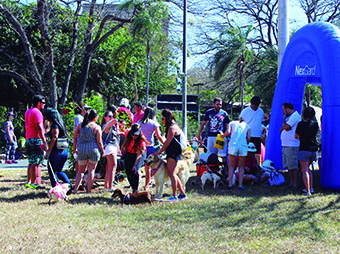 Edição passada do Pet Day: muitas atividades para a família Crédito: divulgação 