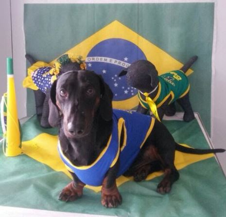 Bento está pronto para curtir a Copa. Crédito: Arquivo pessoal 