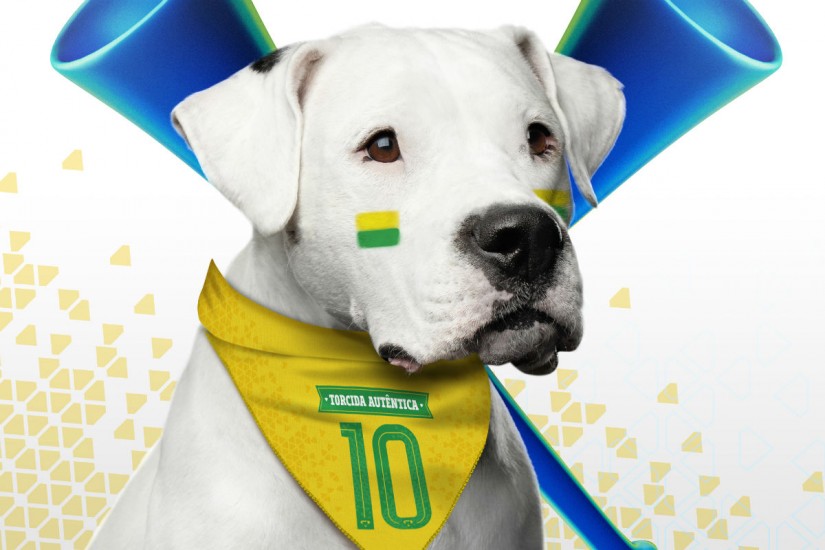 Crédito: Divulgação 