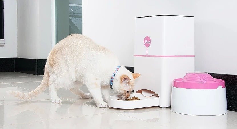 Comida controlada: comedouro libera o alimento quando tutor aciona o app Crédito: Divulgação 