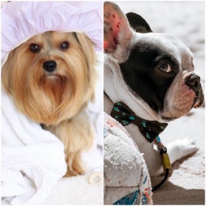 Luna (@lunacostaa) e Theo (@theobull): nomes de sucesso 