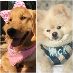 Maggie (@maggie.dourada) e Nick (@nick.spitz.10): última moda