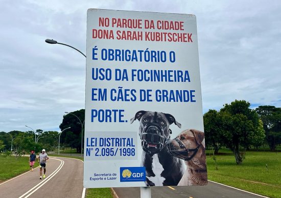Cães, regras e mau humor