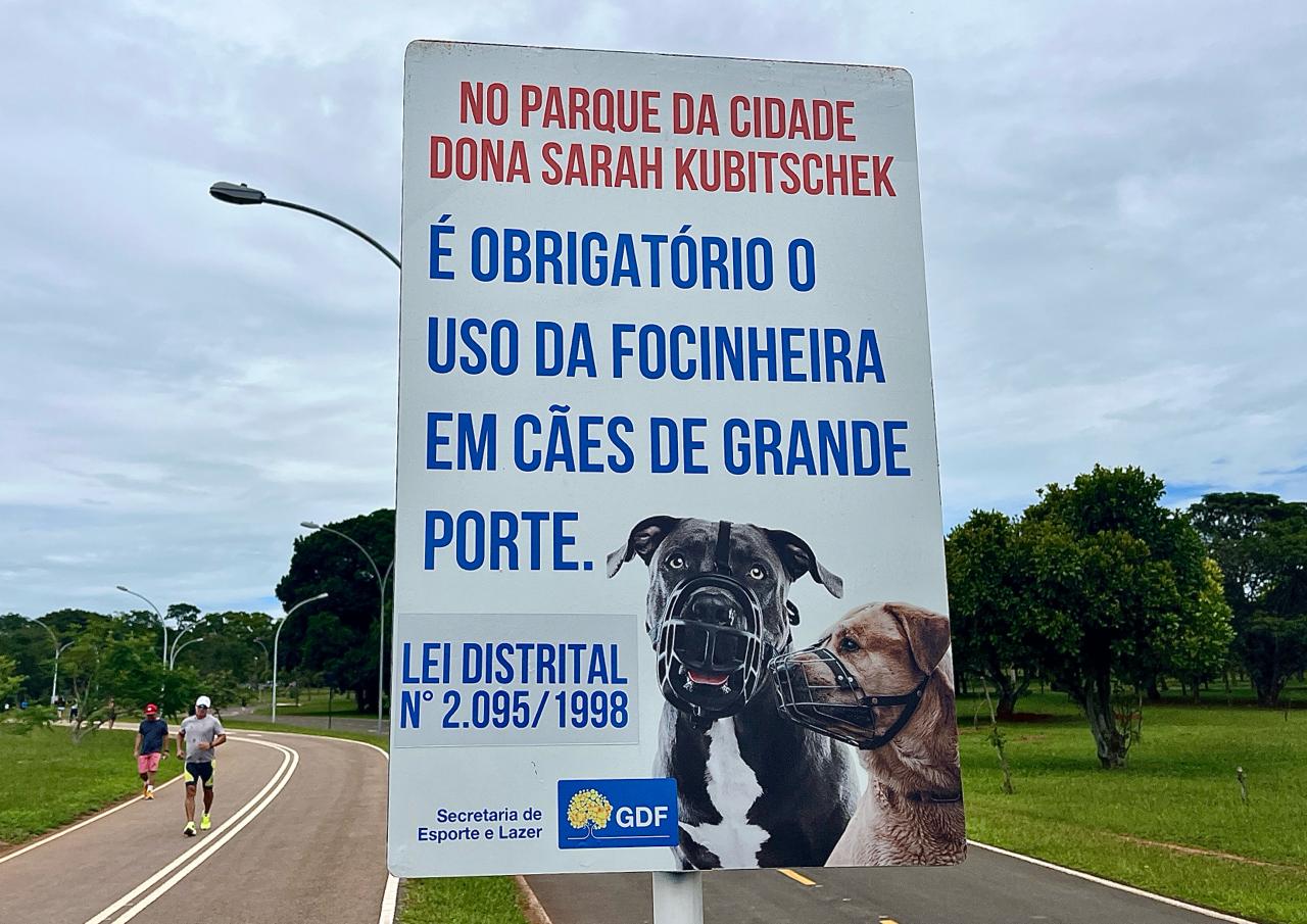 Cães, regras e mau humor