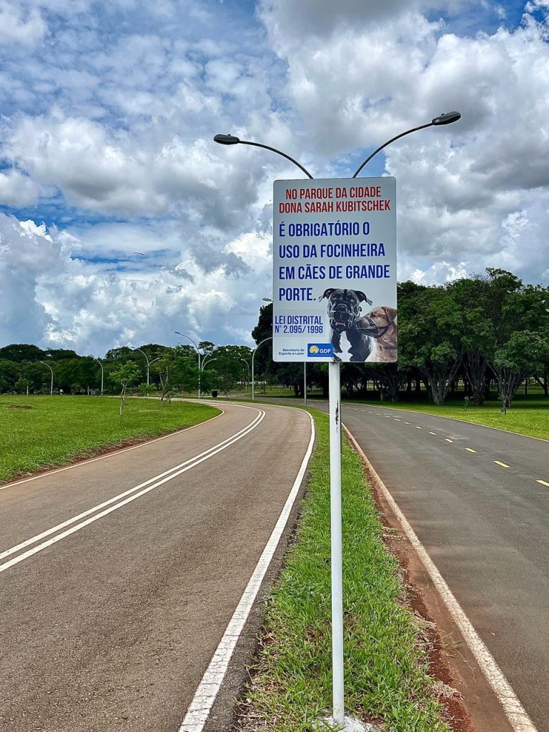Cães, regras e mau humor