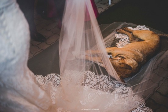 casamento
