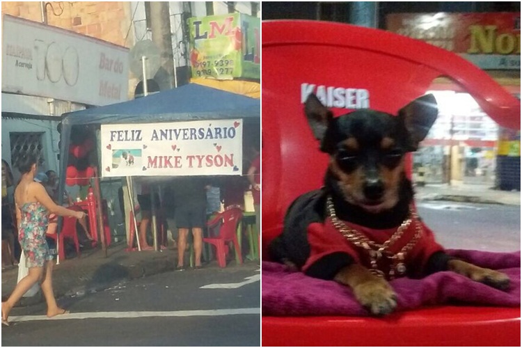 mike