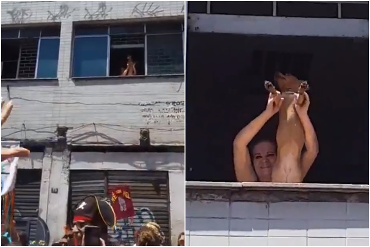 cachorrês
