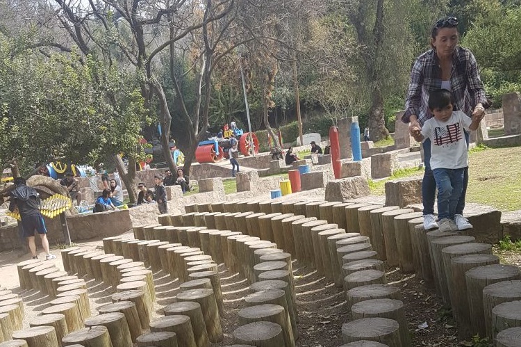 Na foto há uma mulher e uma criança brincando em um parquinho