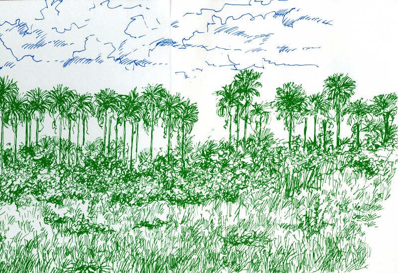 Crédito: Confraria dos Bibliógrafos do Brasil/Reprodução. Ilustração do artista plástico Elder Rocha Lima, para o livro Bernardo Élis Centenário Contos Selecionados, com contos do autor Bernardo Élis.