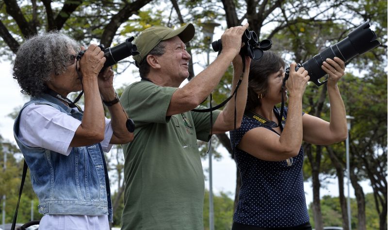 18/11/2015. Crédito: Marcelo Ferreira/CB/D.A Press. Brasil. Brasília - DF. Observadores de pássaros. Na foto (e/d), Leninha Caldas, Tancredo Maia Filho e Rose Almeida, retrata o pássaro bacurau-norte-americano, no Parque da Cidade.